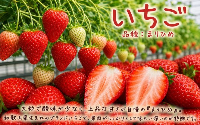 フルーツ 定期便 【全3回定期便】フルーツ大国和歌山よりお届け！旬のフルーツ定期便B【田村みかん・まりひめ・紀州デコ】 / フルーツ 果物 みかん いちご  旬 定期便  【tkb351】