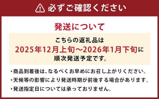 【冬】福岡産 あまおう いちご 約250～270g×2パック 【2025年12月上旬～2026年1月下旬発送予定】 大粒