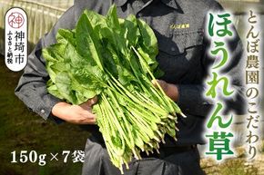 ほうれん草 約1kg(150g×7袋)【ハウス栽培 産地直送 クール便 佐賀県脊振山麓産 ほうれん草 ホウレンソウ 野菜 葉物 こだわり野菜 個包装 小分け 冷蔵 子供 成長 離乳食】(H091113)