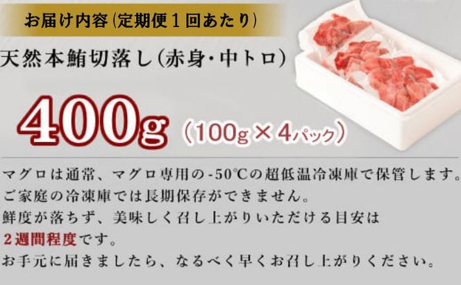 【定期便 / ３ヶ月連続】 天然本マグロ (赤身・中とろ) 切り落とし 合計1.2㎏  (100g×4パック×3回) マグロ 刺身 刺し身 魚 惣菜 海鮮丼 魚介類 食べきりサイズ 小分け 冷凍 訳あり 不揃い 傷 規格外 定期 連続 30000 tk072