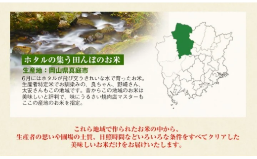 ＜定期便 全12回＞ 令和７年産 真庭市産きぬむすめ　無洗米 10kg (5kg×2袋) ×12回 / お米 国産 岡山県 米 人気 ブランド 2025年産 【tkns-tkb024-cho】