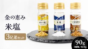 金の恵み米塩 MIRAI 塩３種セット（米塩・籾殻塩カレー味・黒糖入りごまみそ塩）ソルト しお salt 食べ比べ 調味料 塩 セット 便利 料理 味付 アレンジ こだわり 天然 ミネラル 手づくり さかたの塩 おにぎり 米 コシヒカリ こしひかり 玄米 甘み 旨味