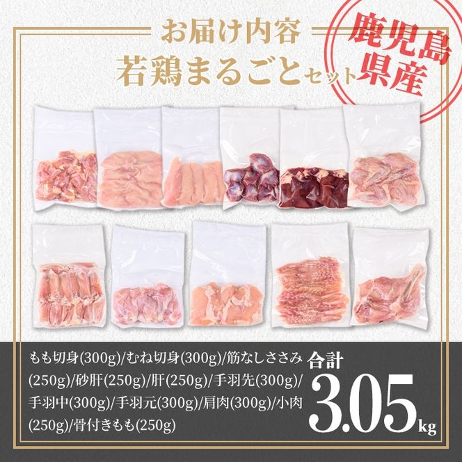 isa717 鹿児島県産 若鶏まるごとセット(合計3.05kg) 鹿児島県産 小分け 真空パック 鶏肉 鳥肉 もも肉 モモ肉 むね肉 ムネ肉 胸肉 ささみ ササミ 筋なし 砂肝 肝 手羽先 手羽中 手羽元 肩肉 小肉 骨付きモモ セット 詰め合わせ 冷凍 【TRINITY】