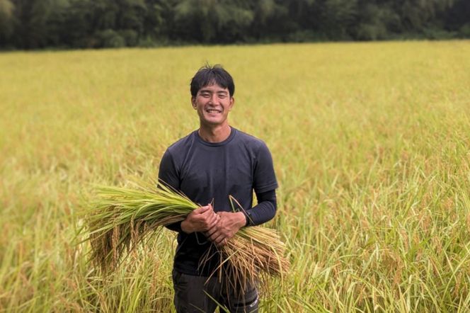 【6回定期便】令和6年産こしひかり（精米）　5kg×6回     離島不可（北海道、沖縄本島は配送可能） ※お申し込みから14日以内に発送