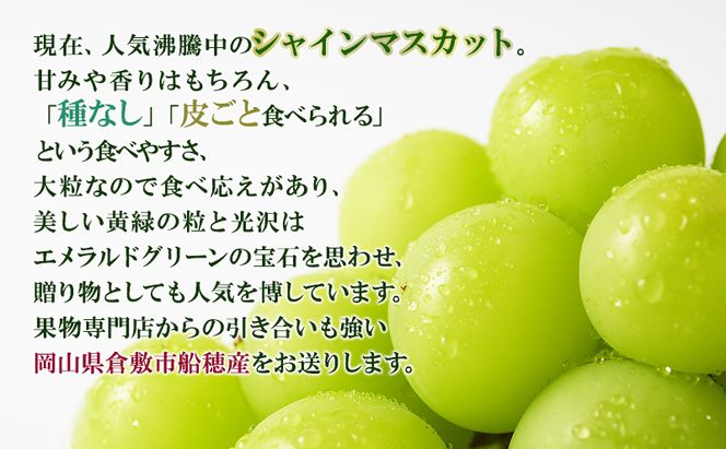 【2026年先行予約】晴れの国 大房厳選 シャインマスカット 晴王 夏秋 定期便 2回 コース《2026年6月中旬-10月上旬頃出荷》  ブドウ 果物 マスカット 岡山 里庄 数量限定