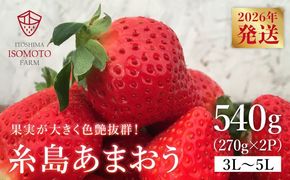 【農園直送】糸島のあまおう 270g×2パック (サイズおまかせL〜5L) 果物 フルーツ いちご / 糸島市 / 磯本農園 / TANNAL[ATB003]