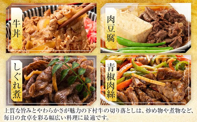 【数量限定・大増量】大府市特産黒毛和牛「下村牛」切り落とし 1.5kg（250g×6パック） 232238_N066