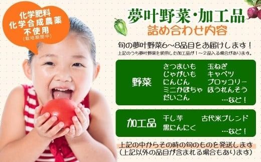 野菜 季節の野菜 詰め合わせセット (野菜6～8品目)【先行予約・2月～3月にお届け】夢叶野菜ボックス | 新鮮 産地直送 旬 国産 葉物 根菜 おすすめ 人気 野菜詰め合わせ 野菜セット 春野菜 夏野菜 秋野菜 葉物 果物 果菜 根菜 冷蔵 野菜室 さつまいも じゃがいも にんじん かぼちゃ だいこん 玉ねぎ キャベツ ブロッコリー ほうれんそう 送料無料 豊後高田市 [162453bt1]