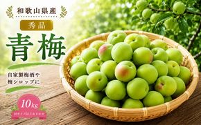 青梅 10kg 秀品 Mサイズ 以上 サイズおまかせ / 梅酒 梅ジュース 梅 和歌山 梅干し 梅シロップ 和歌山県産 ※2027年6月下旬～7月上旬に順次発送 ※北海道・沖縄・離島への配送不可【frt508-r-10A】