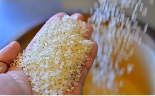 五ツ星お米マイスターが選ぶ！ 備えあれば“へーきなん”です 有事郎 5kg 無洗米 真空パック こだわりのブレンド米 真空保存 手軽 節水 防災 備蓄食 長期 食べられるお守り 備蓄 備蓄米 コメ 白米 精米 H056-136