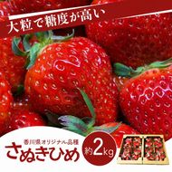 いちご さぬきひめ 香川県オリジナル品種 2kg 大粒 高糖度 贈答用 ギフト プレゼント 手土産 お祝い デザート スイーツ 苺 さぬき姫 ストロベリー フルーツ 果物 くだもの 冷蔵 五色青果 香川県 東かがわ市 46312083