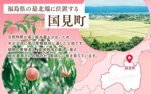 ◆2026年夏発送◆ 紅国見 ～産直・桃・約1.5kg～ ※離島への配送不可 ※2026年7月上旬～7月下旬頃に順次発送予定｜桃 もも モモ フルーツ 果物 ふくしま 福島 国見町 詰め合わせ
