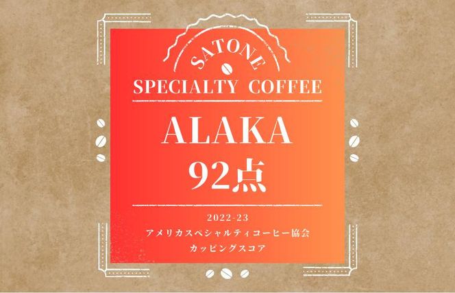 G1405 スペシャルティコーヒー焙煎豆 中浅煎り 300g 定期便 全12回 12か月【毎月配送コース】