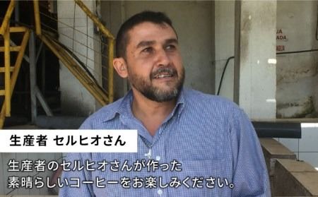 【年内発送】中煎り コーヒー 豆 250g × 2袋 （ 豆 ・ 粉 選べます ） ニカラグア産 エルポルベニール農園 ジャバニカ種 ナチュラル 《糸島》 【COFFEE UNIDOS】 [AQF005] 珈琲 カフェ コーヒー粉