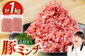 AK026 豚ミンチ 500g 2パック 計1kg [ 豚肉 肉 ミンチ ミンチ肉 小分け ぶた肉 ぶた 豚 スターゼン 長崎県 島原市 ]