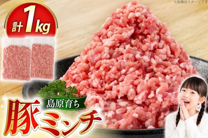 AK026 豚ミンチ 500g 2パック 計1kg [ 豚肉 肉 ミンチ ミンチ肉 小分け ぶた肉 ぶた 豚 スターゼン 長崎県 島原市 ]