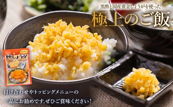 しょうが 味付け 極しょうが 110g×10袋 計1100g 【7日程度で発送】 生姜 ジンジャー ご飯のお供 おかず トッピング アレンジ 料理 手軽 便利 刻み生姜 国産 特産品 しょうが ショウガ 高知県産 坂田信夫商店 高知県 香南市 常温 Xnb-0014