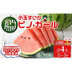 【0325001b】《2027年4月以降発送》＜定期便・全2回＞小玉すいか・ピノ・ガール(2玉×2回・計8kg以上 果物 くだもの 旬 果実 フルーツ スイカ すいか 西瓜 ピノガール 小玉スイカ 数量限定 期間限定 定期便 4月 5月 【宮内農園】