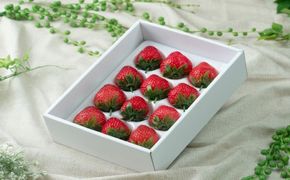 【2025年12月より順次発送】福岡産あまおうギフト箱 約300g（12～15粒）【南国フルーツ株式会社】_HA1904