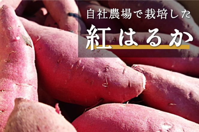 DK-1　【芋屋久兵衛】茨城県産紅はるか干しいも150g×6セットギフト箱入り