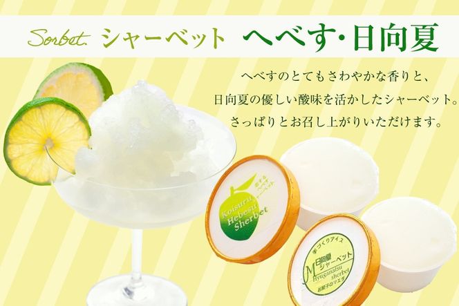 アイス 人気の手作りアイス6種 & シャーベット 2種 計8個 [マエダ製菓 宮崎県 日向市 452060804] シャーベット アイスクリーム バニラ チョコチップ チョコマーブル ラムレーズン ストロベリー 抹茶 へべす 日向夏