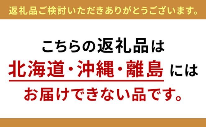 WORKSTUDIO 電動昇降デスク DD-WS150WN2W バルバーニ リモートワーク 在宅 テレワーク パソコンデスク 電動 昇降 OKIN ワークデスク 収納 書斎 静岡