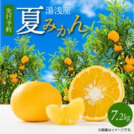 G7074_【2027年先行予約】湯浅産 夏みかん 7.2kg