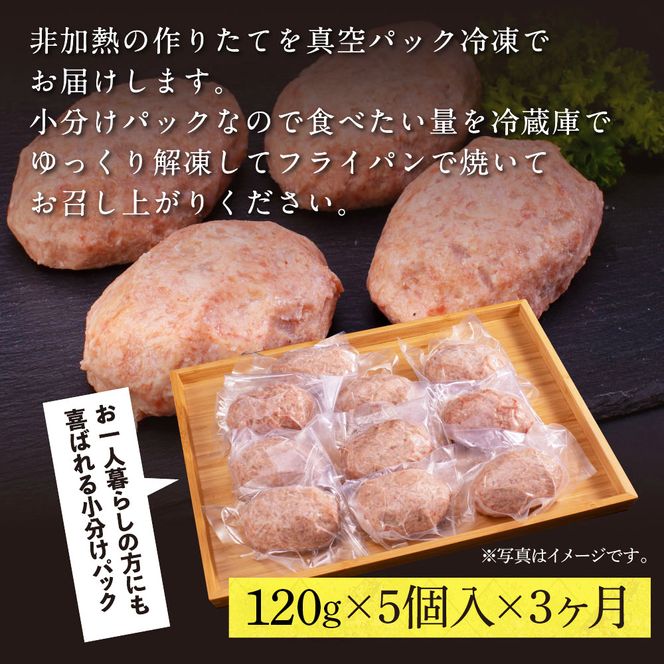 【CF-R7hbk】t211cdm　創業50年老舗レストランの幻の和牛あかうしハンバーグ120g×5ケ 3ヶ月定期便 土佐あかうし 美鮮豚 牛肉 高級 ハンバーグ 冷凍 美味しい 肉汁ハンバーグ 焼くだけ 小分け 個包装 高級 国産 定期便 定期コース 