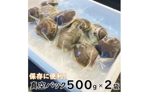 岬だよりの 希少 天然はまぐり 特大サイズ 500g×2袋