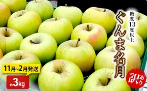りんご【11月～2月発送】糖度13度以上 訳あり品 家庭用 ぐんま名月 約3kg【青森りんご】