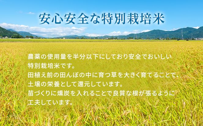 令和7年産 特別栽培米 にこまる 白米 2kg 精米 お米 こめ コメ ごはん ご飯 単一原料米