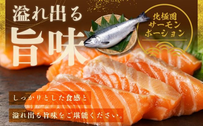 099Z161 泉佐野セレクト 海鮮定期便 全4回 サーモン 天然まぐろ かつお 真鯛【毎月配送コース】