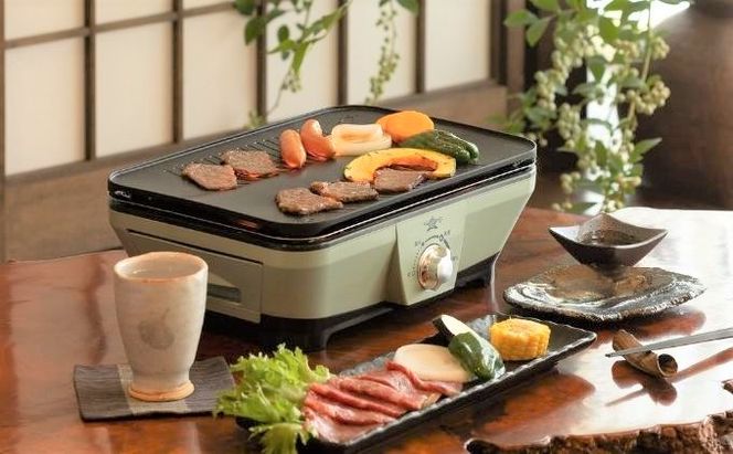 アラジン グラファイトミニグリラー グリーン 緑   播州百日どり 冷凍 もも肉 むね肉 セット 1.2kg CAG-MG7AG 卓上調理器 グリル 鶏肉 お肉 肉 キッチン家電 家電 日用品 加西市 × 多可町 調理器具 おうち焼肉 