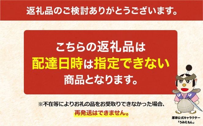 北海道厚岸産 特大 あさり （砂出し済み） ムキほっき セット 魚介類 魚介 加工食品 アサリ 