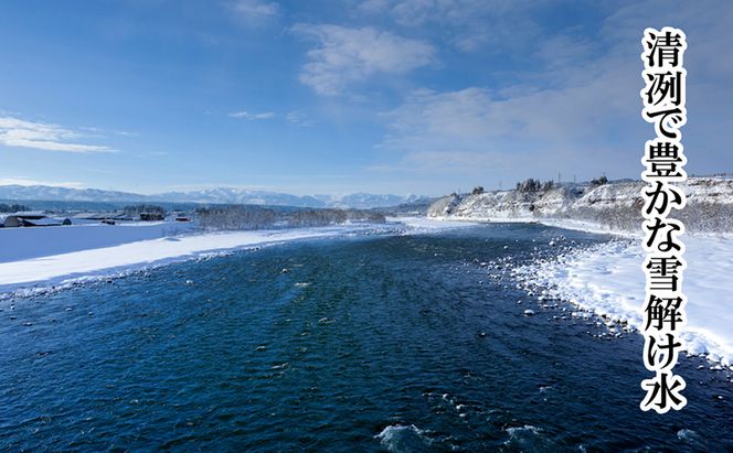 【厳選☆十日町育ち】“有機栽培米” 魚沼産コシヒカリ 5kg×2袋 お米 