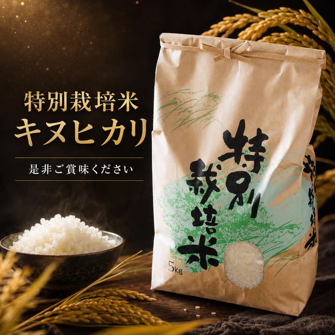 【令和8年度】 料理旅館きぐすりや 特別栽培米 キヌヒカリ 5kg 令和8年 精米 白米 お米 こめ コメ 減農薬栽培 5 キロ ご飯 ごはん 京都　※9月下旬より順次発送 新米26