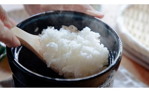 伊賀焼 レンジ炊飯土鍋　伊賀ノ匠　IG11 pmdt0001