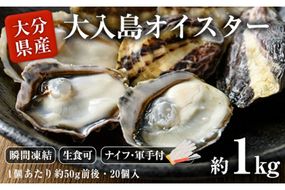 大入島 バージン オイスター 牡蠣 約1kg (1個約50g前後・20個入) 生食可 冷凍 | 真牡蠣 かき 貝 かい 酒蒸し 焼き牡蠣 パスタ 国産 一口サイズ ご当地 お取り寄せ グルメ 大分県 佐伯市【ED06】【(合)新栄丸】