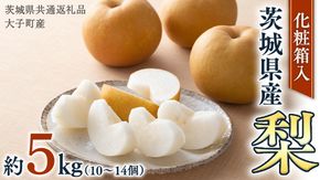 【化粧箱入り】梨 5kg（10〜14個）【2026年8月より発送開始】（茨城県共通返礼品 [梨]：大子町産）なし ナシ 果物 フルーツ 茨城県産 [BI466-NT]
