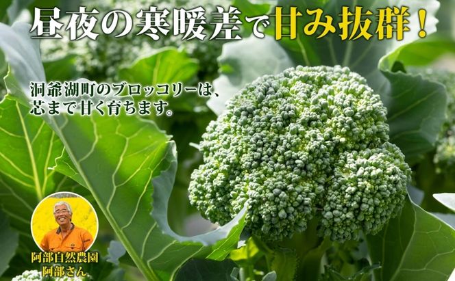役に立ちます 冷凍カット野菜 ブロッコリー60g×8袋 2025年6月中旬より出荷 冷凍 カット 野菜 小分け 時短 弁当 簡単 調理 便利  国産 北海道 洞爺湖町