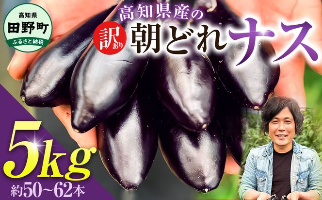 訳あり高知県産の朝どれナス 5kg 茄子 なす 新鮮 朝採れ 野菜 夏野菜 柔らかい 甘い おいしい 生鮮食品 食品 食べ物 浅漬け 煮浸し 国産 お取り寄せ