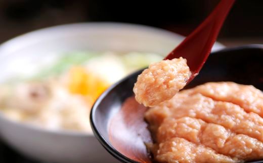 博多若杉水炊きセット（4～5人前）【株式会社Skyward】_HA1775