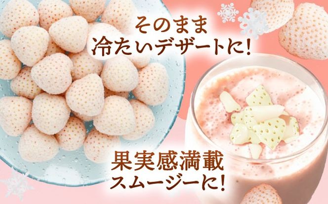 冷凍白いちご 1kg 果物 フルーツ いちご 愛西市 / くぼ苺農園 【配達不可：離島】[AECJ028]