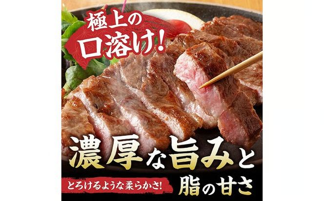 ※グラムが選べる※【A5等級】【新鮮チルド便】宮崎牛特選サーロインステーキ 【 肉 宮崎 ステーキ 牛肉 おかず A5 】 [B13204 B13205 B13206]
