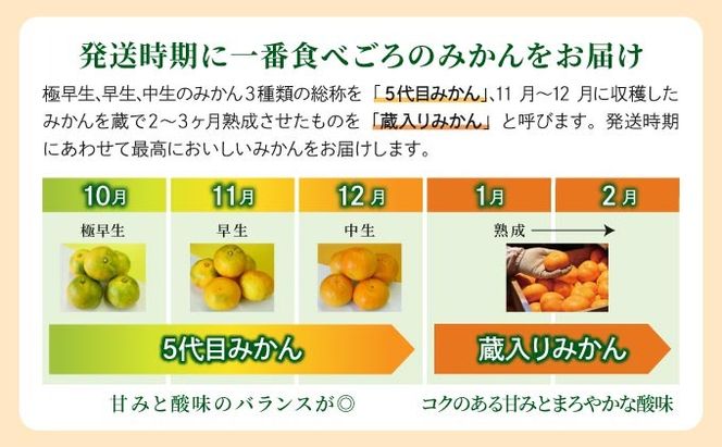 【期間限定】さがみかん 蔵入りみかん 10kg