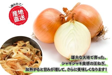 【CF2】《期間限定》北海道 士幌産 たまねぎ 玉ねぎ タマネギ 玉ネギ 玉葱 10kg (2025年12月～発送開始予定)  採れたて オニオン 旬の野菜 期間限定 新鮮 野菜 産地直送 産直 お取り寄せ 送料無料 十勝 士幌町 9000円 【V07】