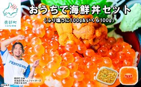 ふり塩うに100g＆いくら100g おうちで海鮮丼セット 北海道