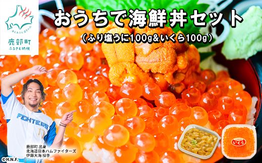 ふり塩うに100g＆いくら100g おうちで海鮮丼セット 北海道