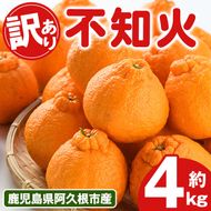 訳あり！露地栽培の不知火(4kg) 国産 不知火 しらぬい 柑橘 果物 フルーツ デザート 露地 果実 期間限定 数量限定【古田果樹園】akn093-03