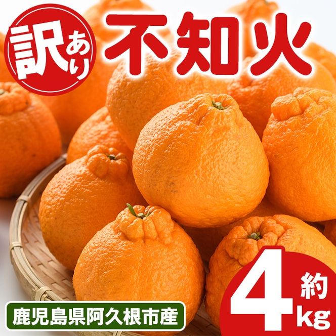 訳あり！露地栽培の不知火(4kg) 国産 不知火 しらぬい 柑橘 果物 フルーツ デザート 露地 果実 期間限定 数量限定【古田果樹園】akn093-03